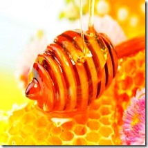 Пословицы и поговорки про мёд