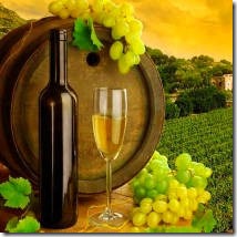 Пословицы и поговорки про вино