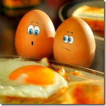 Пословицы и поговорки о яйце