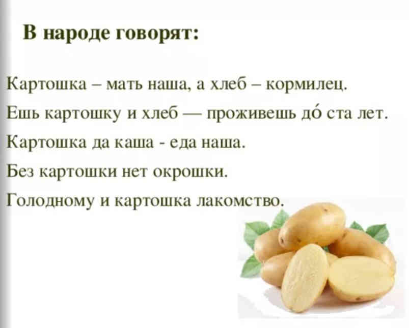 Пять пословиц про картошку