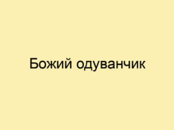 Божий одуванчик