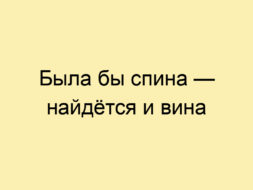 Была бы спина — найдётся и вина