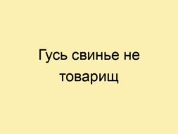 Гусь свинье не товарищ Гусь свинье не товарищ