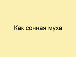 Как сонная муха