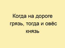 Когда на дороге грязь, тогда и овёс князь