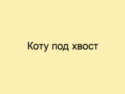 Коту под хвост Коту под хвост