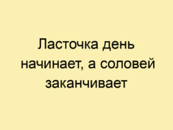 Ласточка день начинает, а соловей заканчивает Ласточка день начинает, а соловей заканчивает