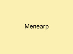 Мелеагр