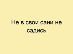 Не в свои сани не садись