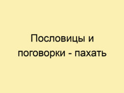 Пословицы и поговорки - пахать Пословицы и поговорки — пахать