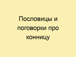 Пословицы и поговорки про конницу Пословицы и поговорки про конницу