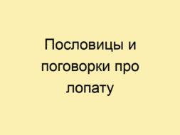 Пословицы и поговорки про лопату