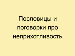 Пословицы и поговорки про неприхотливость