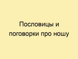 Пословицы и поговорки про ношу Пословицы и поговорки про ношу