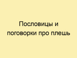 Пословицы и поговорки про плешь Пословицы и поговорки про плешь