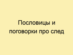 Пословицы и поговорки про след