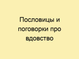Пословицы и поговорки про вдовство Пословицы и поговорки про вдовство