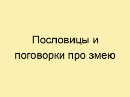 Пословицы и поговорки про змею Пословицы и поговорки про змею