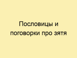 Пословицы и поговорки про зятя