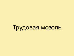 Трудовая мозоль